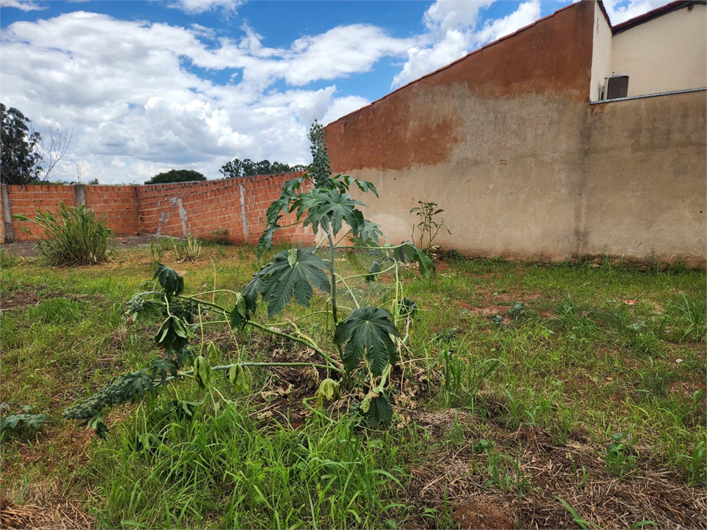Terreno à venda em Parque Alvorada, Araraquara, SP