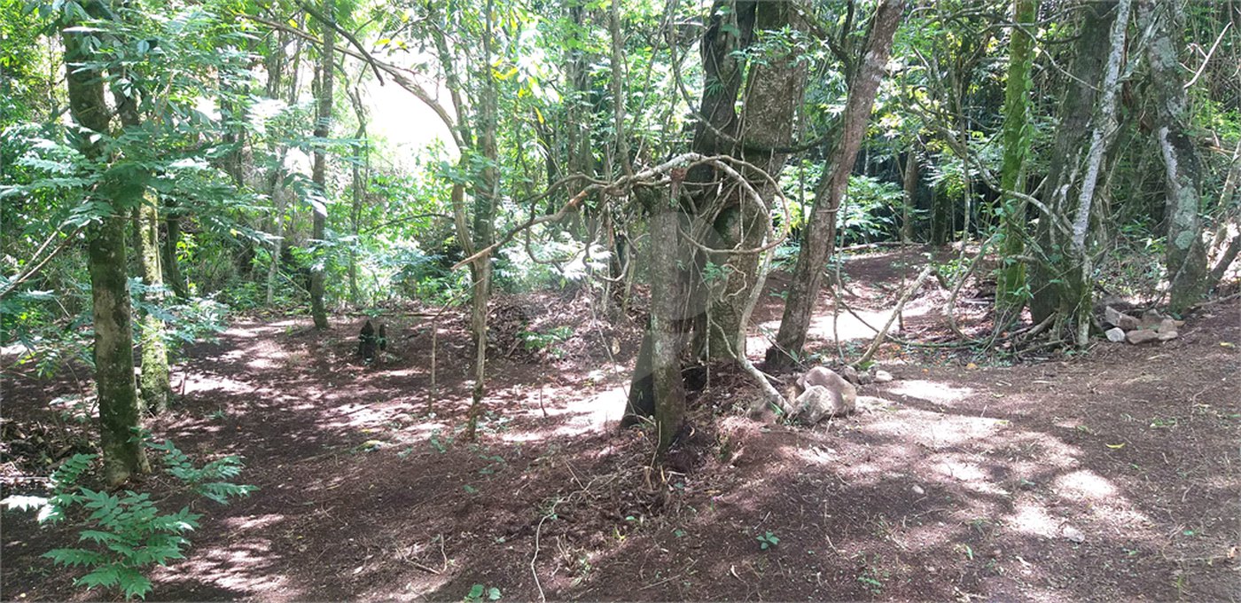 Sítio à venda no Centro, Monte Sião, MG