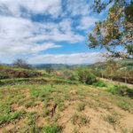 Área de Terra à venda com 1 suíte em Cocais, Itatiba, SP
