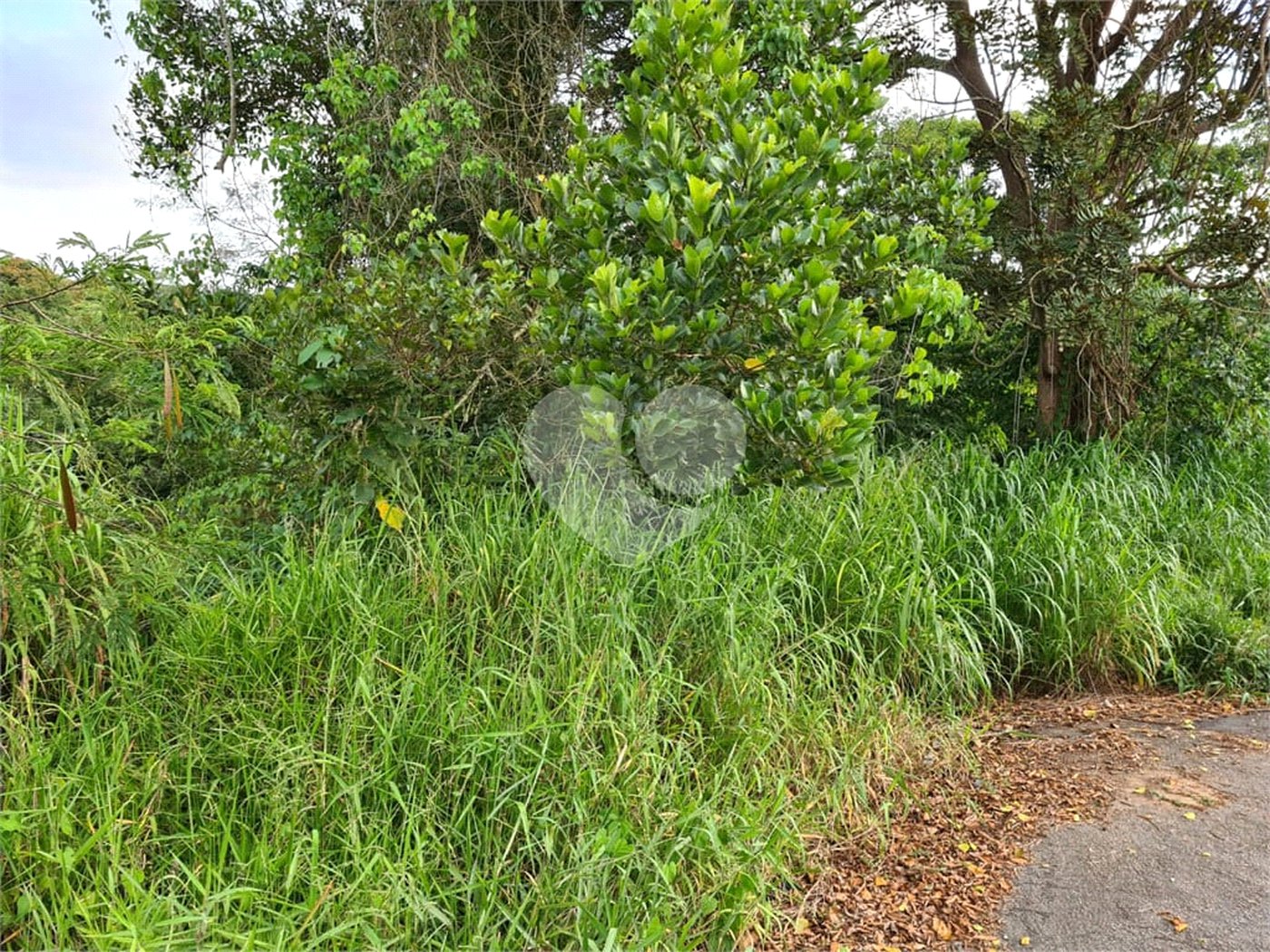 Terreno à venda no condomínio Gleba B1, Mairiporã - SP