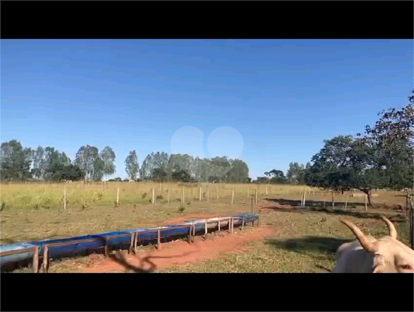 Chácara à venda com 6 quartos no Centro, Terenos, MS