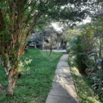 Casa Térrea à venda com 3 quartos em Horto Florestal, São Paulo, SP