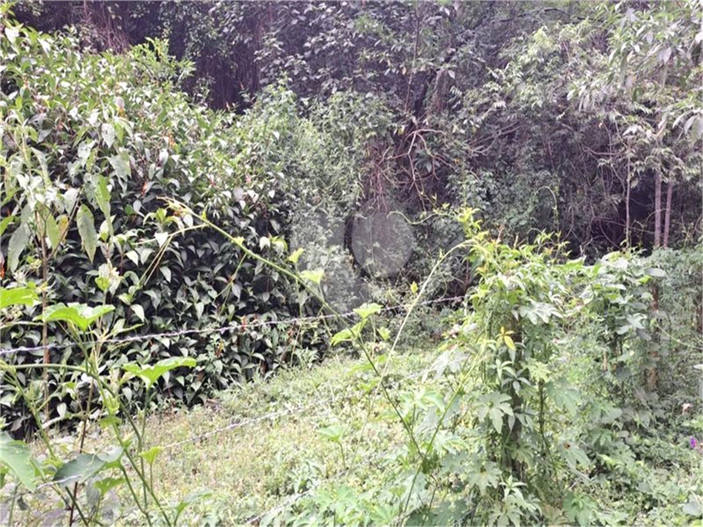 Terreno à venda no condomínio Parque Suiça, Caieiras - SP