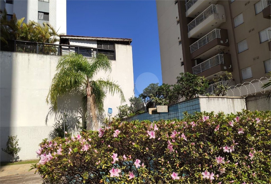 Apartamento à venda com 4 quartos, sendo 2 suítes, em Fazenda Morumbi, São Paulo, SP