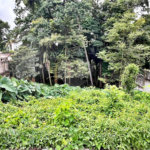 Terreno à venda em Tremembé, São Paulo, SP