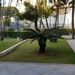 Apartamento à venda com 3 quartos, sendo 1 suíte, em Cidade Monções, São Paulo, SP