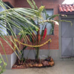 Casa Térrea à venda com 3 quartos, sendo 1 suíte, em Vila Cordeiro, São Paulo, SP