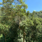 Casa à venda com 3 suítes no condomínio Parque Imperial da Cantareira, Mairiporã - SP