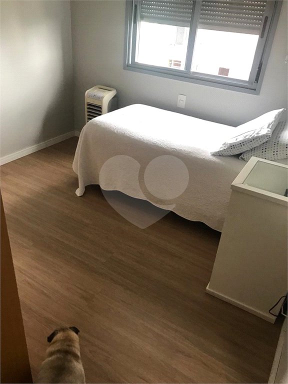Apartamento à venda com 3 quartos, sendo 1 suíte, em Vila Paulicéia, São Paulo, SP