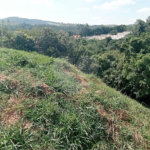 Terreno à venda em Observatório, Vinhedo, SP