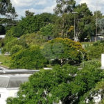 Terreno à venda em Vila Lucia, São Paulo, SP