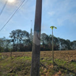 Sítio à venda em Mato Dentro, Indaiatuba, SP