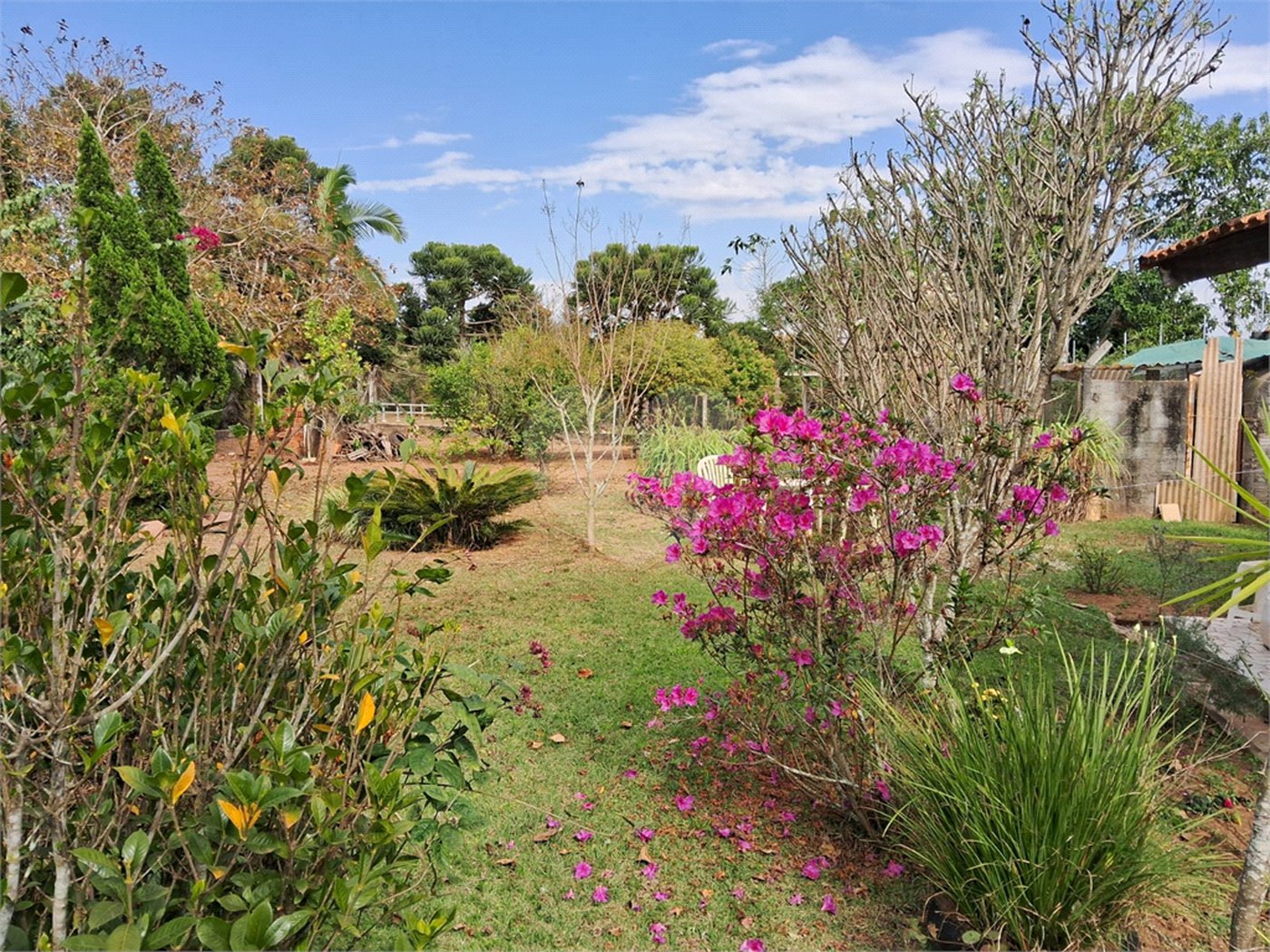 Casa à venda com 3 quartos em Área Rural de Alambari, Alambari, SP