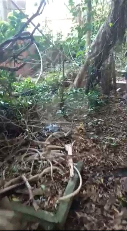 Terreno à venda com 1 quarto em Chora Menino, São Paulo, SP