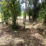 Terreno à venda no condomínio Sausalito, Mairiporã - SP