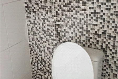 Sobrado à venda com 2 suítes em Loteamento Terras de São Pedro e São Paulo, Salto, SP