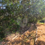 Terreno à venda no condomínio Reserva dos Jatobás, Louveira - SP