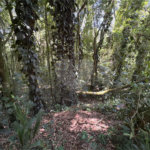Terreno à venda no condomínio Sausalito, Mairiporã - SP