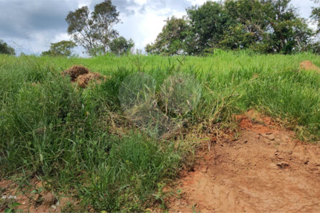 GLEBAS RURAIS EM PIRACAIA A PARTIR 20.000 M², EXCELENTE PARA CHÁCARAS E FAZENDINHAS