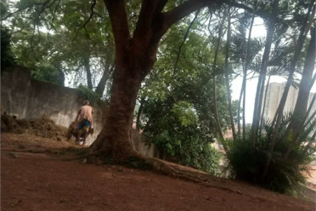 Terreno à venda em Jardim das Vertentes, São Paulo, SP