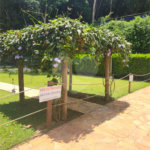 Chácara à venda com 3 quartos, sendo 2 suítes, em Caixa D´água, Vinhedo, SP