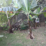 Chácara à venda com 5 quartos, sendo 1 suíte, em Jardim Marabá, Itapetininga, SP