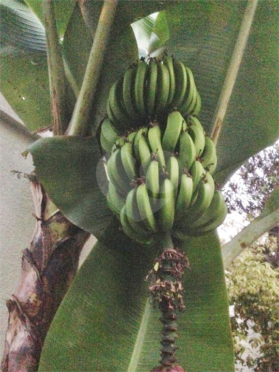 Sobrado à venda com 4 quartos, sendo 1 suíte, em Jardim Novo Mundo, São Paulo, SP