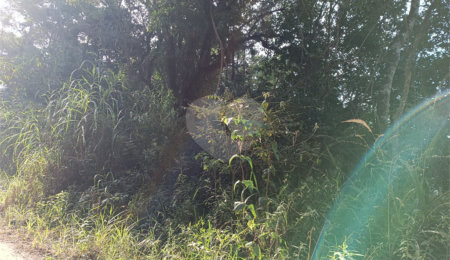 Terreno à venda em Caete (mailasqui), São Roque, SP