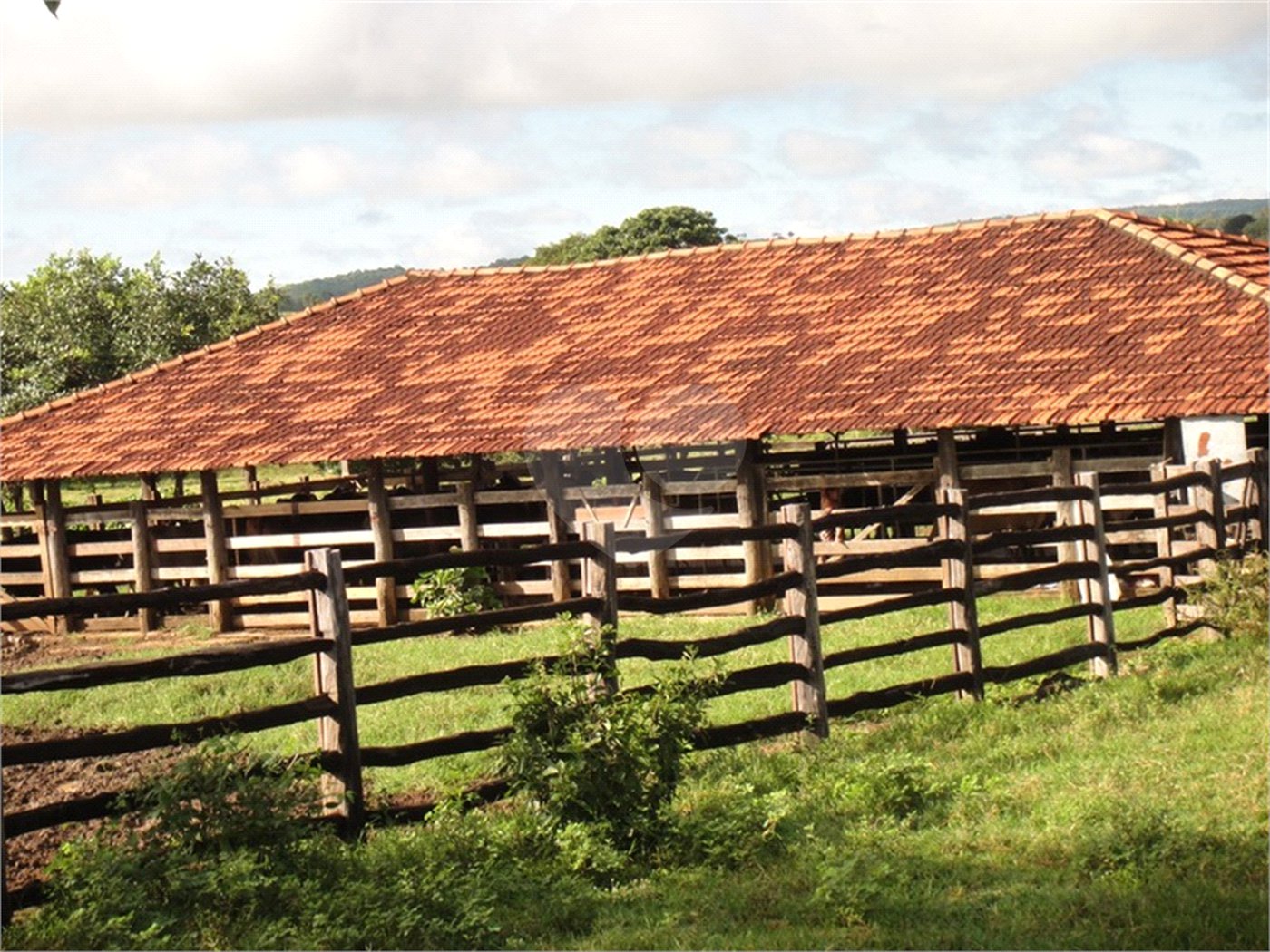 Fazenda à venda com 2 quartos em Canabrava, João Pinheiro, MG