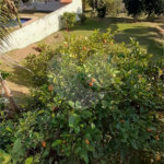 Casa à venda com 4 quartos, sendo 1 suíte, no Centro, Bom Jesus dos Perdões, SP