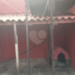 Casa à venda com 3 quartos, sendo 1 suíte, em Vila Guilherme, São Paulo, SP