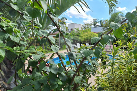 Casa à venda com 3 suítes no condomínio Village Ipanema, Araçoiaba da Serra - SP