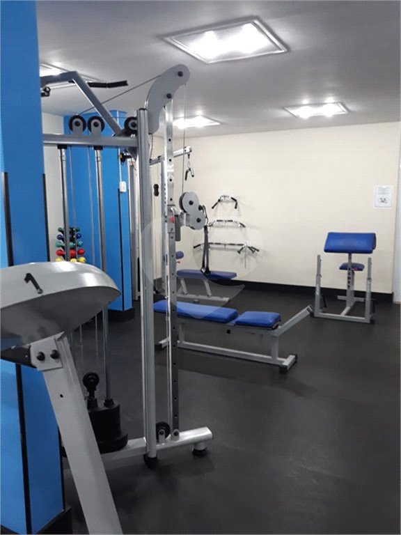 Apartamento à venda com 3 quartos, sendo 1 suíte,  em Lauzane Paulista, São Paulo, SP