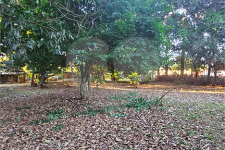 Terreno à venda em Jardim dos Estados, Ponta Porã, MS