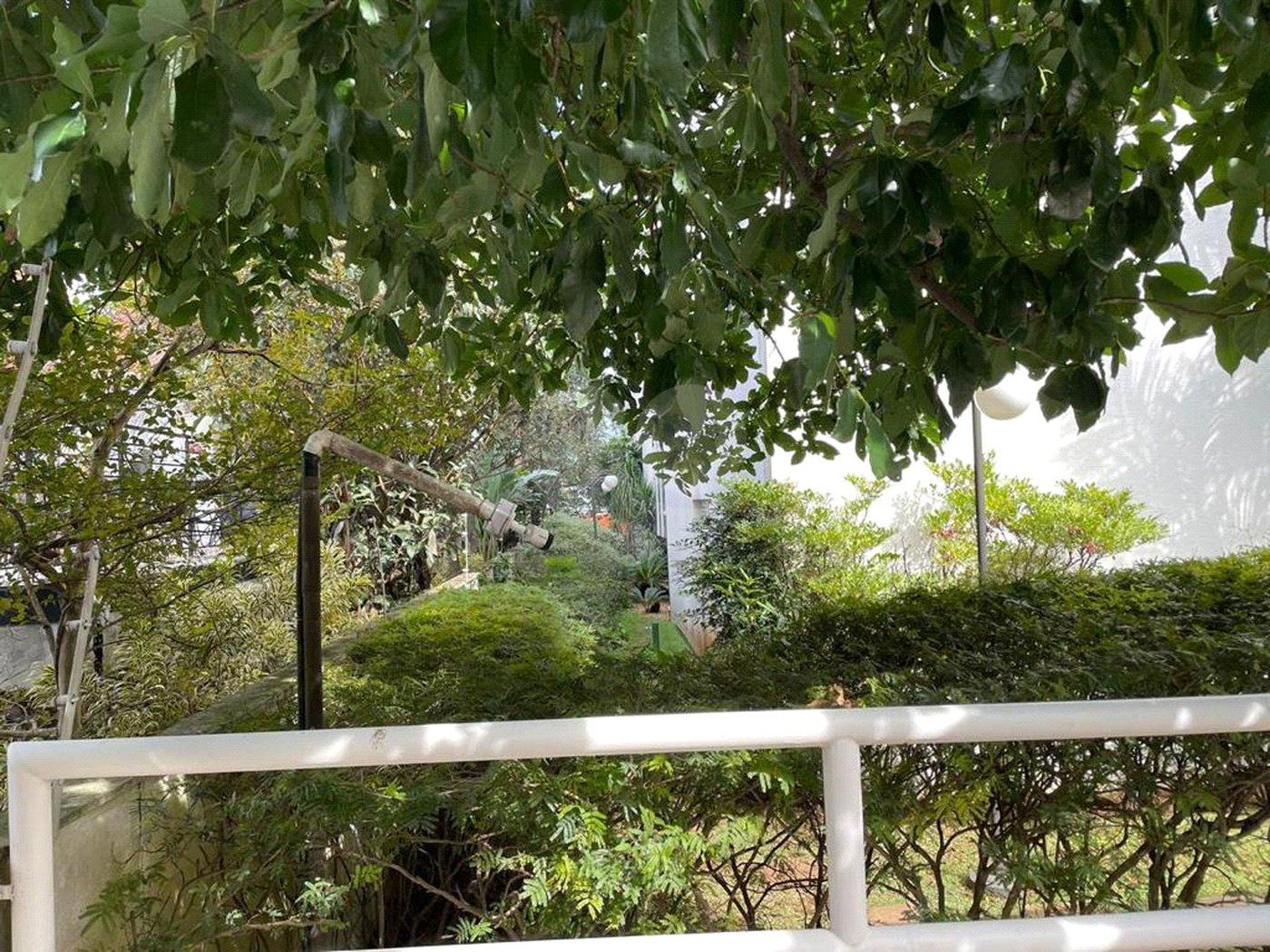 Apartamento maravilhoso Sumaré/ Perdizes