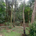 Sobrado à venda com 4 quartos, sendo 3 suítes, em Serra da Cantareira, Mairiporã, SP