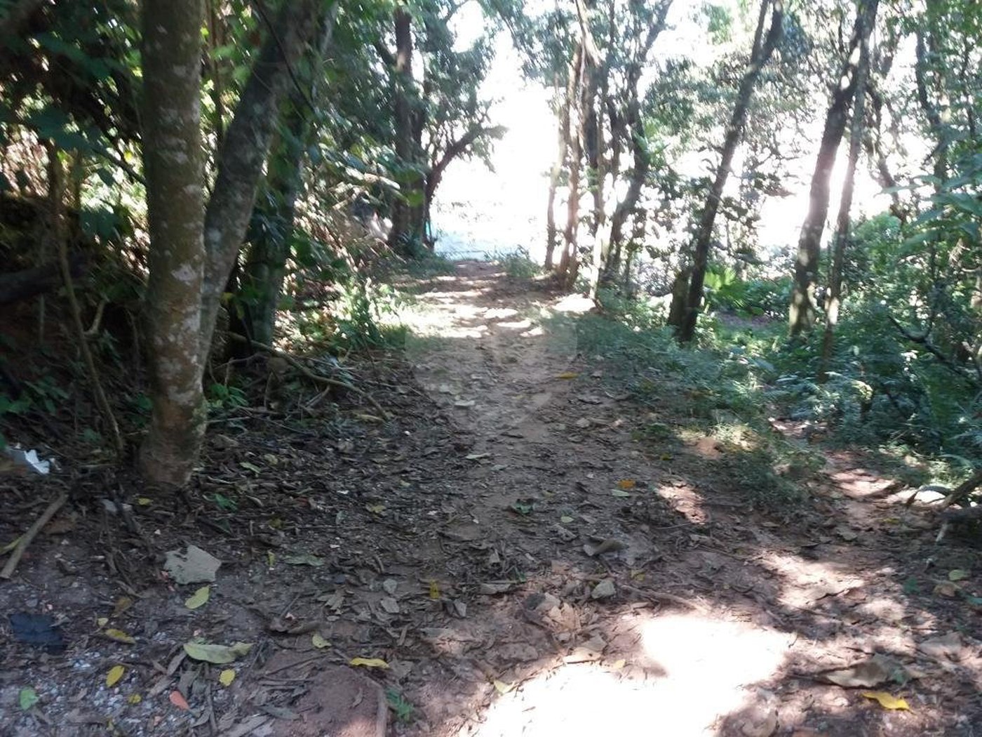 Terreno à venda em Tucuruvi, São Paulo, SP