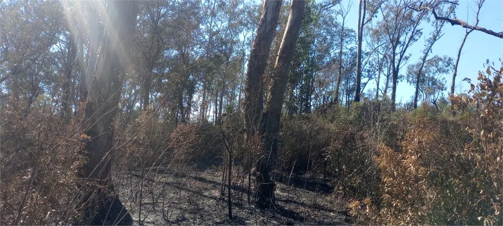 Terreno à venda em Caete (mailasqui), São Roque, SP