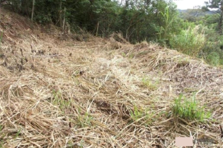 Terreno à venda em San Fernando Valley, Atibaia, SP