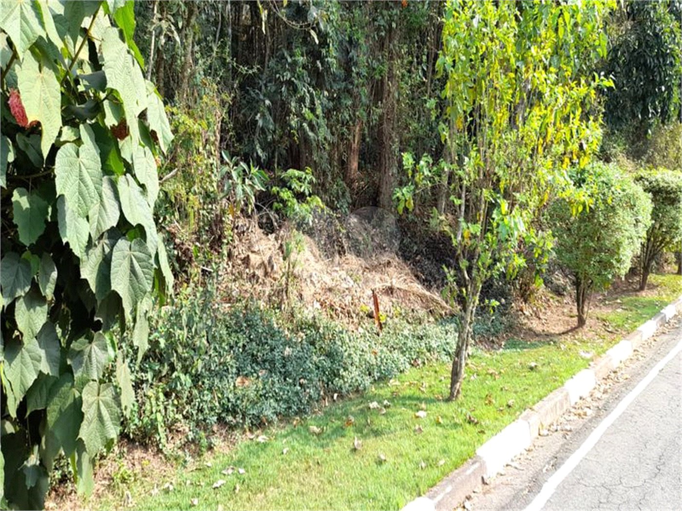 Terreno à venda em Roseira, Mairiporã, SP