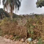 Terreno à venda em Jardim São João (zona Norte), São Paulo, SP