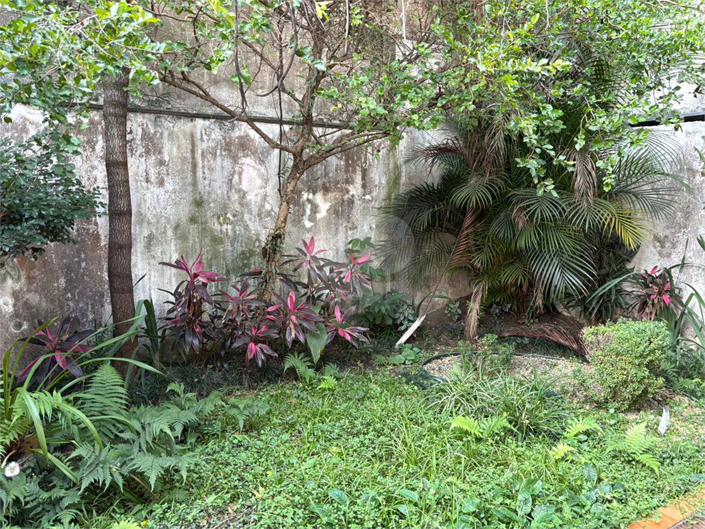 Sobrado à venda com 3 suítes em Mirandópolis, São Paulo, SP