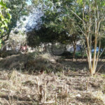 Terreno à venda em Taboão, São Roque, SP