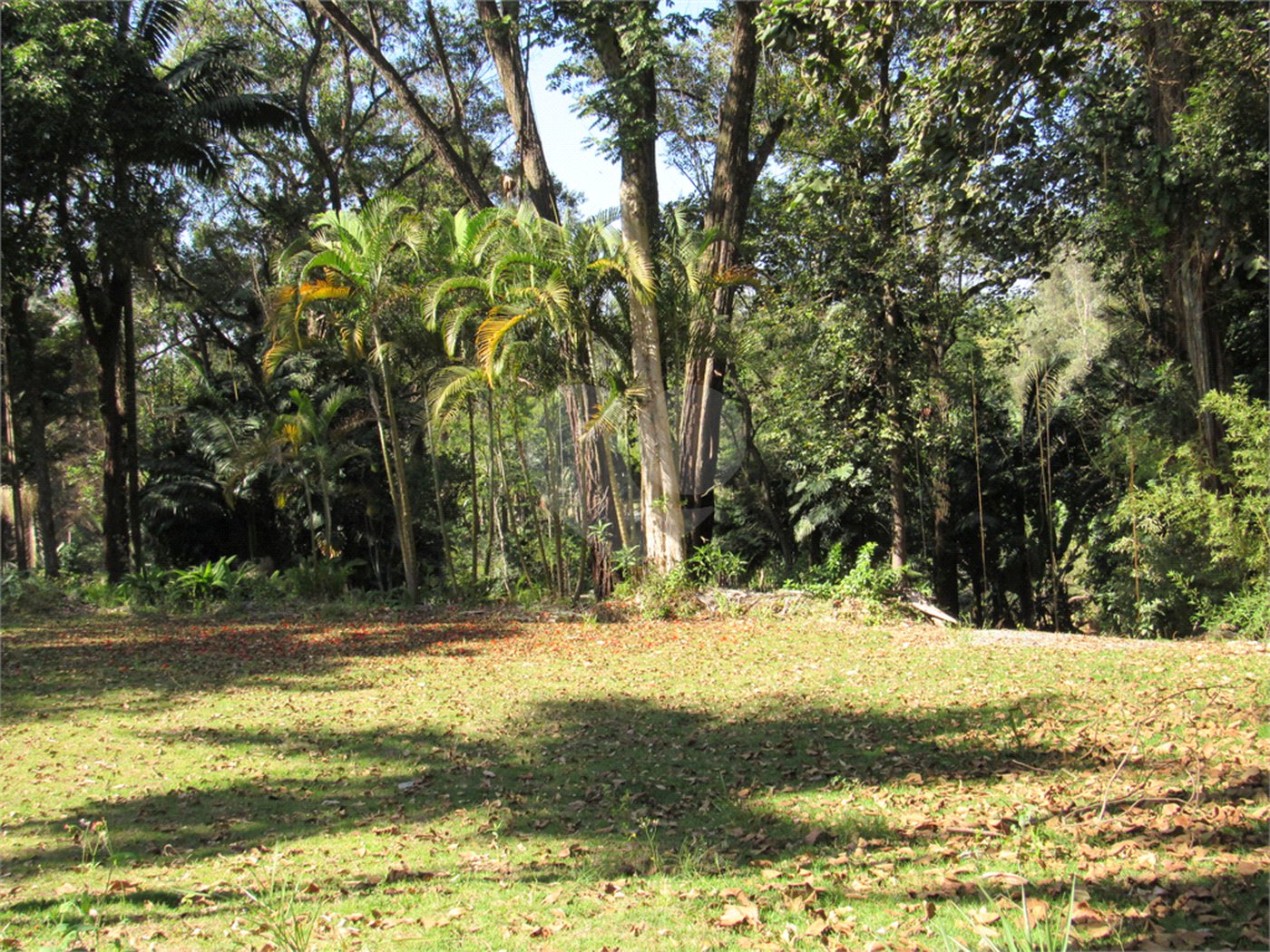 Terreno à venda no condomínio Chácara Flora, São Paulo - SP