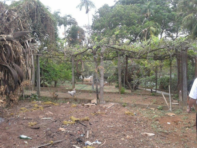 Terreno à venda em Horto Florestal, São Paulo, SP