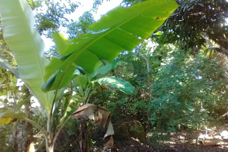Casa à venda com 1 quarto em Vila Verde, Armação dos Búzios, RJ