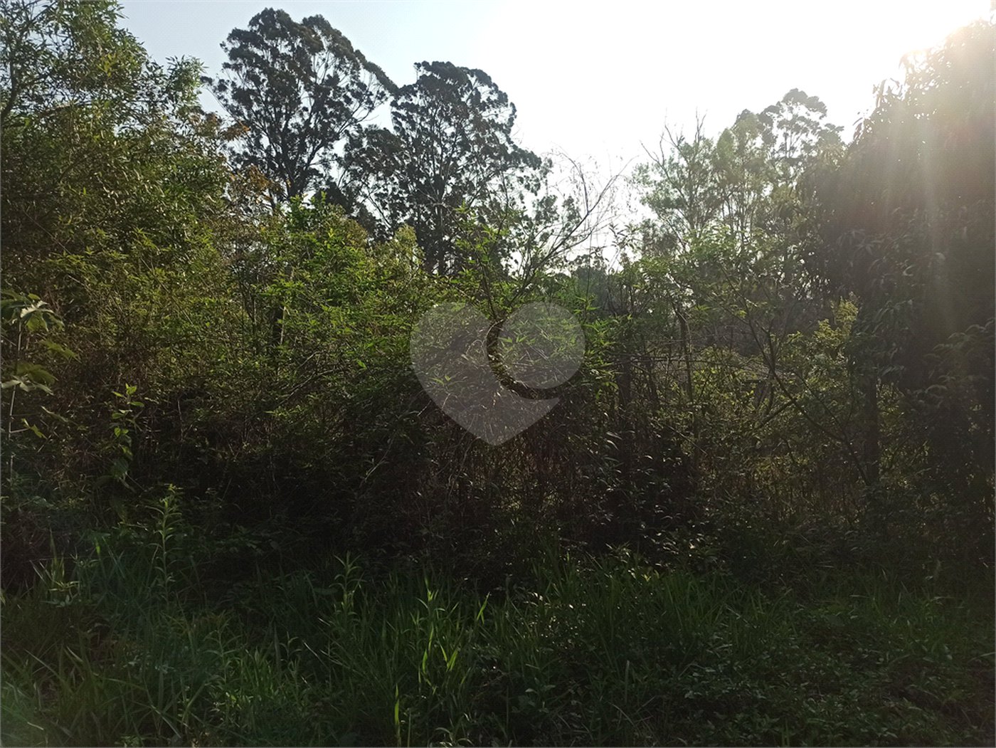 Terreno à venda em Bosque dos Eucalíptos, Atibaia, SP