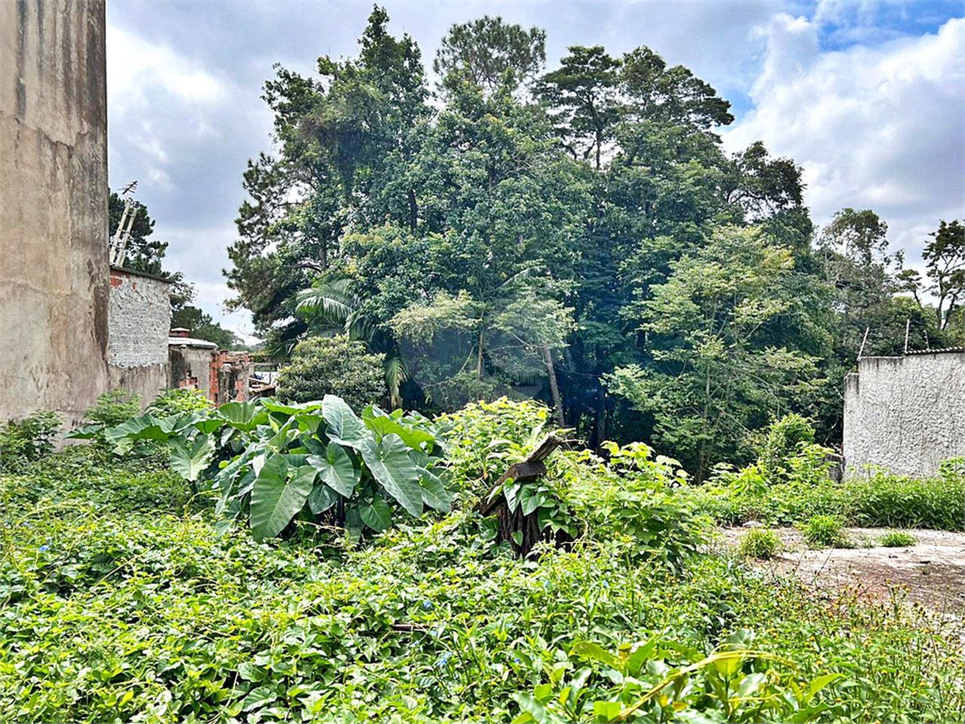 Terreno à venda em Tremembé, São Paulo, SP