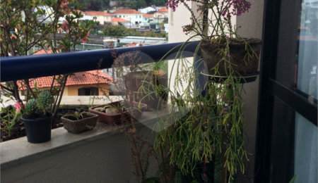 Apartamento à venda com 3 quartos, sendo 1 suíte,  em Tucuruvi, São Paulo, SP