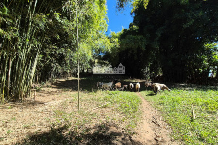 Sítio à venda com 7 alqueires, em Serra do Capetinga, Itapeva - MG